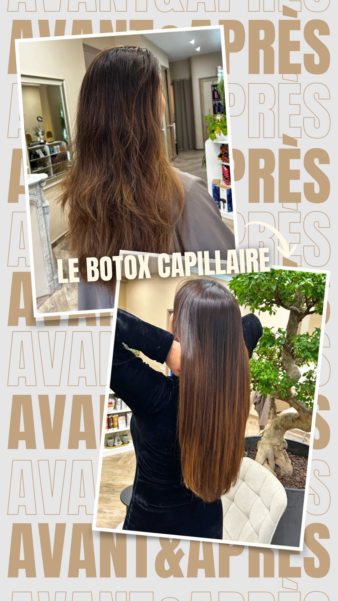 Salon Peerless Toulon